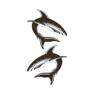 �^�g�D�[�V�[���@�L