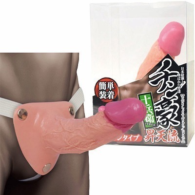 �`�����@�i���V���y�j�o���^�C�v�j�@�\���q